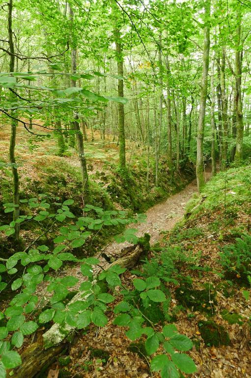La Lande-de-Goult La Cage Aux Oiseaux Bed & Breakfast エクステリア 写真
